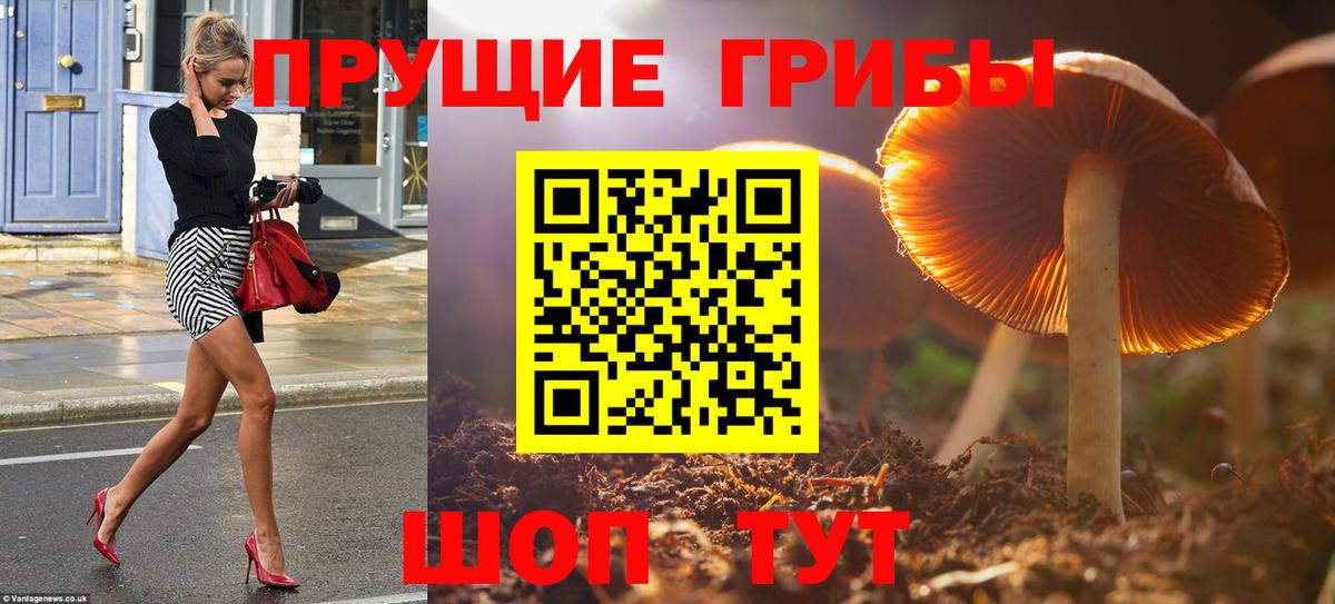 Галлюциногенные грибы MAGIC MUSHROOMS  Вход с VPN  Псилоцибиновые грибы Cubensis  Дзержинский 