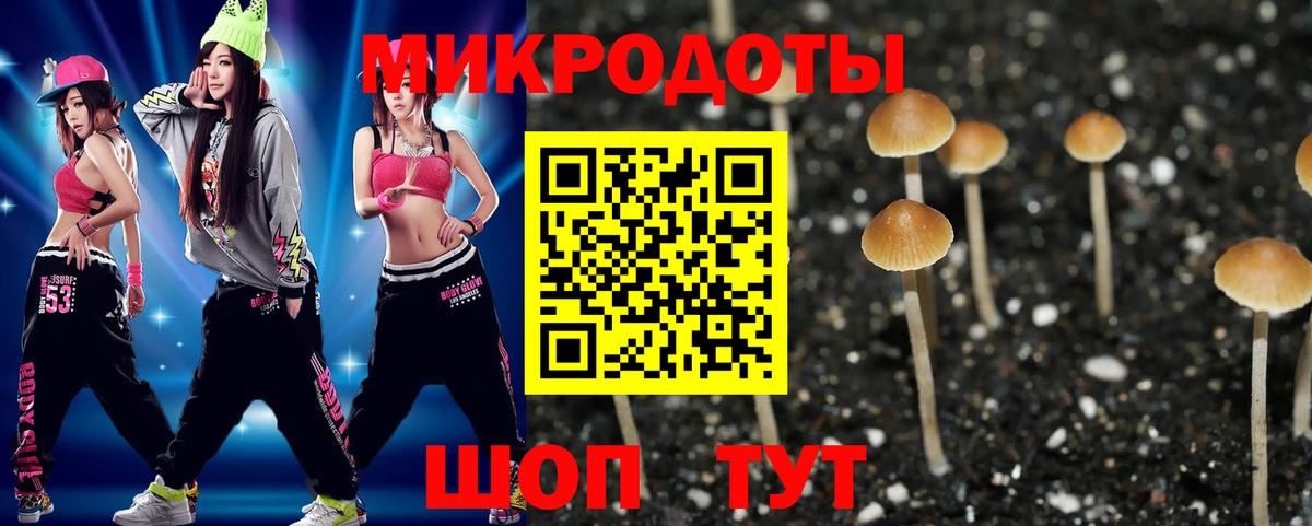 Галлюциногенные грибы прущие грибы Дзержинский